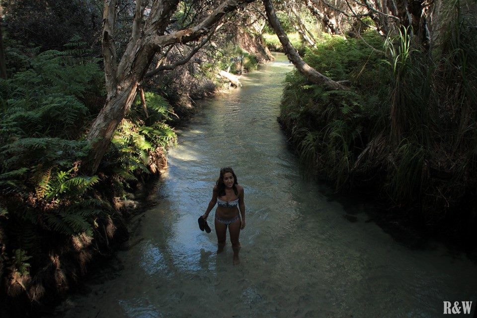 Fraser Island - Eli Creek